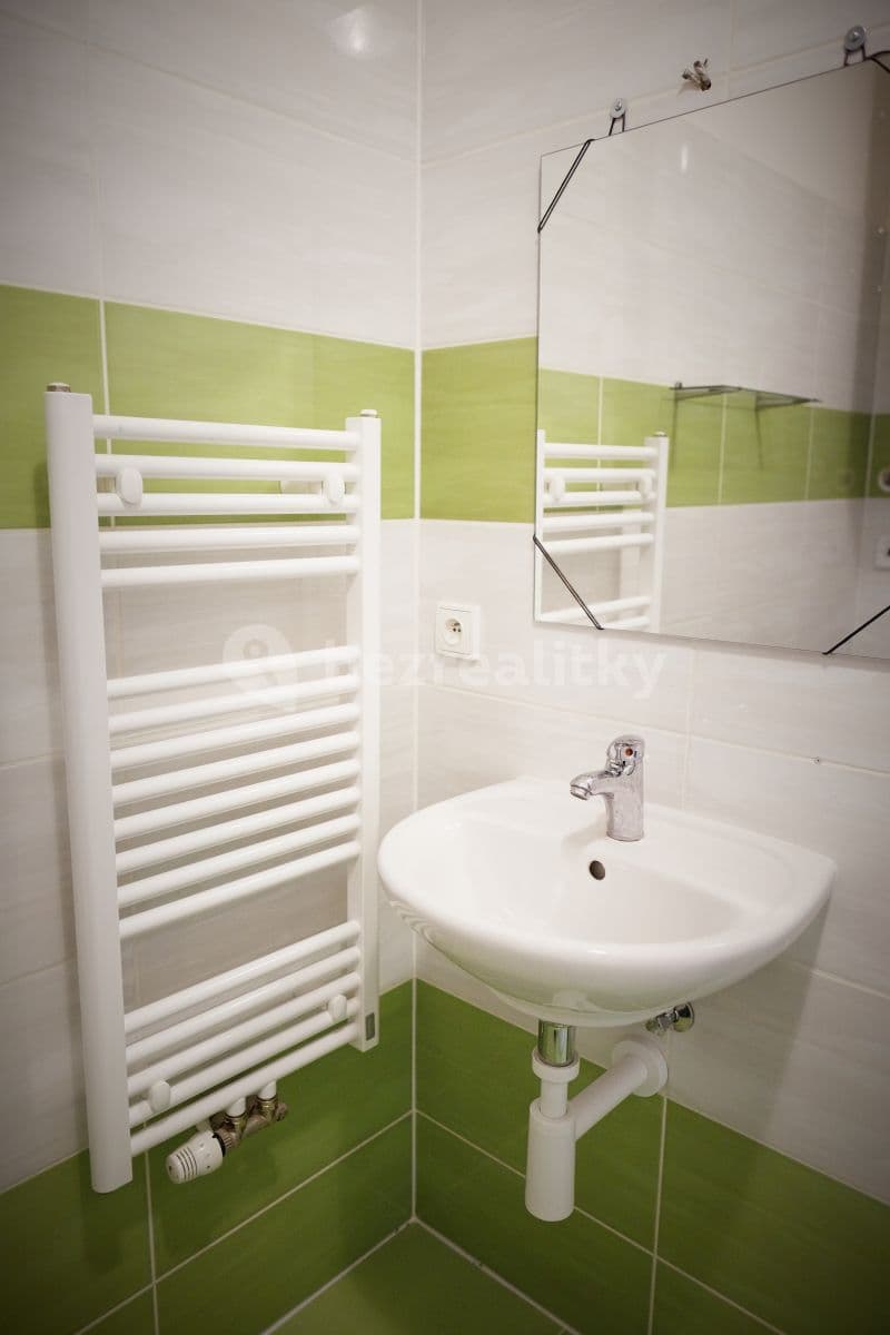 1 bedroom with open-plan kitchen flat to rent, 45 m², Zbraslavská, Prague, Prague 1 bedroom with open-plan kitchen flat to rent, 45 m², Zbraslavská, Prague, Prague