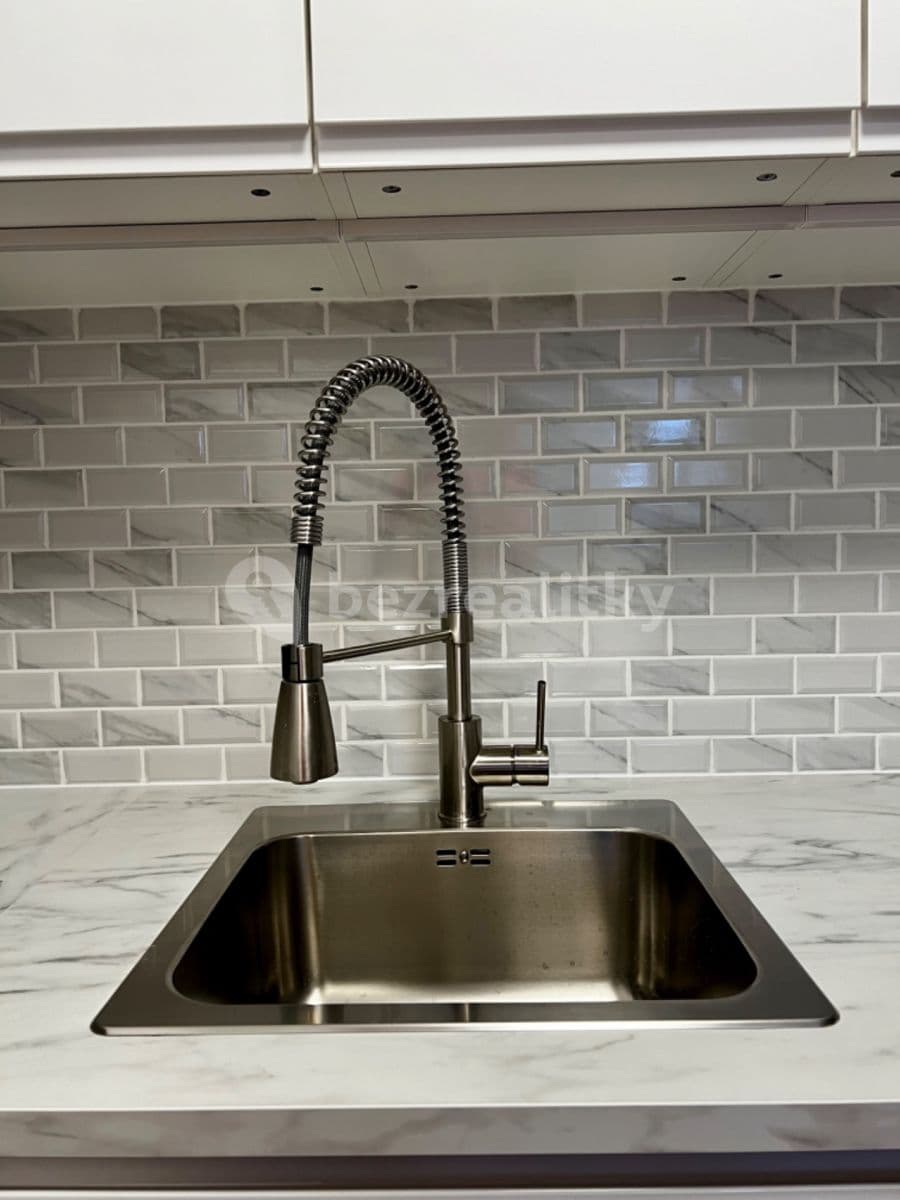 2 bedroom with open-plan kitchen flat to rent, 100 m², Muchova, Prague, Prague 2 bedroom with open-plan kitchen flat to rent, 100 m², Muchova, Prague, Prague