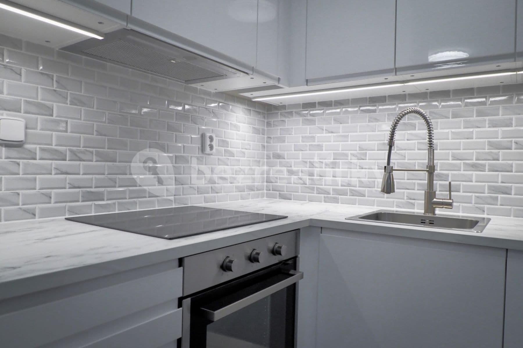 2 bedroom with open-plan kitchen flat to rent, 100 m², Muchova, Prague, Prague 2 bedroom with open-plan kitchen flat to rent, 100 m², Muchova, Prague, Prague