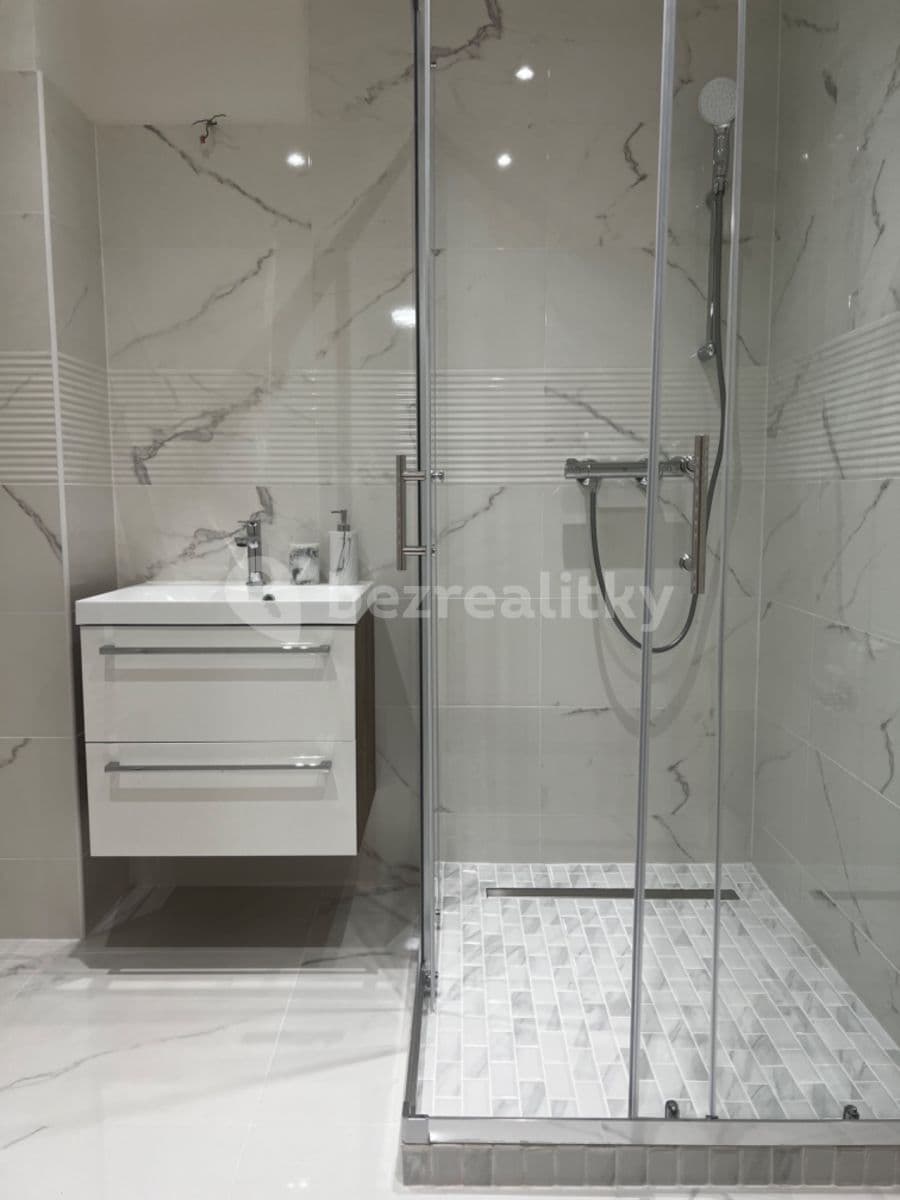 2 bedroom with open-plan kitchen flat to rent, 100 m², Muchova, Prague, Prague 2 bedroom with open-plan kitchen flat to rent, 100 m², Muchova, Prague, Prague
