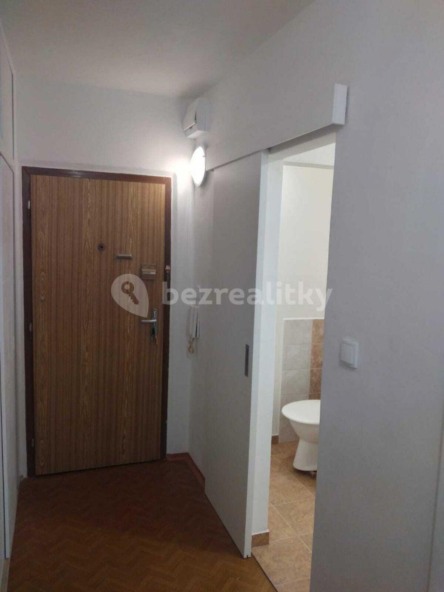 1 bedroom with open-plan kitchen flat to rent, 47 m², Čenětická, Prague, Prague