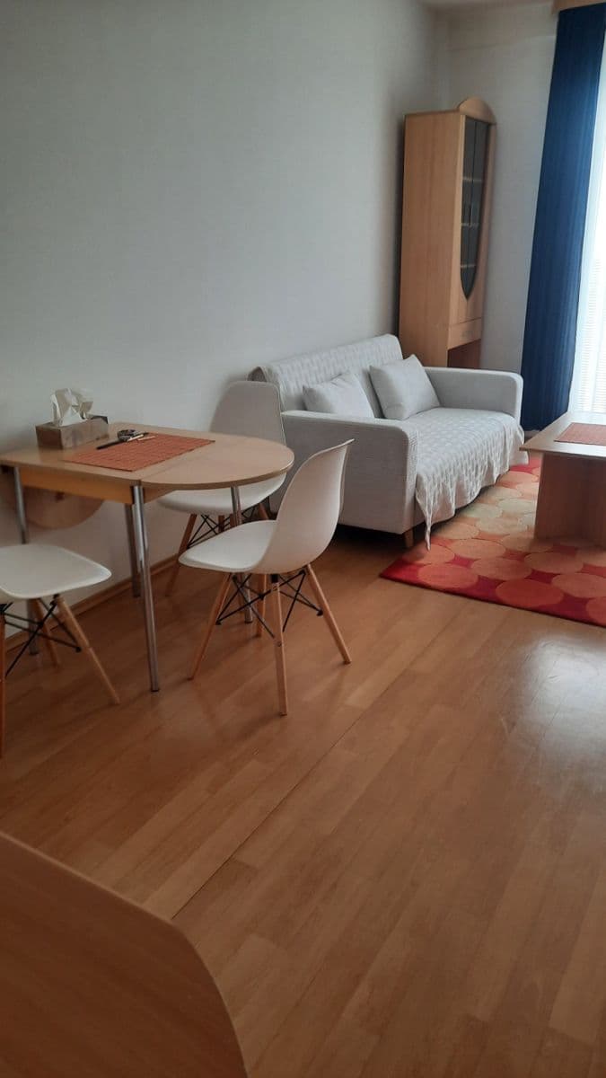 Studio flat to rent, 38 m², Hnězdenská, Prague, Prague Studio flat to rent, 38 m², Hnězdenská, Prague, Prague