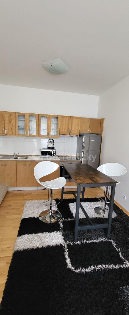 2 bedroom flat to rent, 54 m², Rubeška, Prague, Prague 2 bedroom flat to rent, 54 m², Rubeška, Prague, Prague