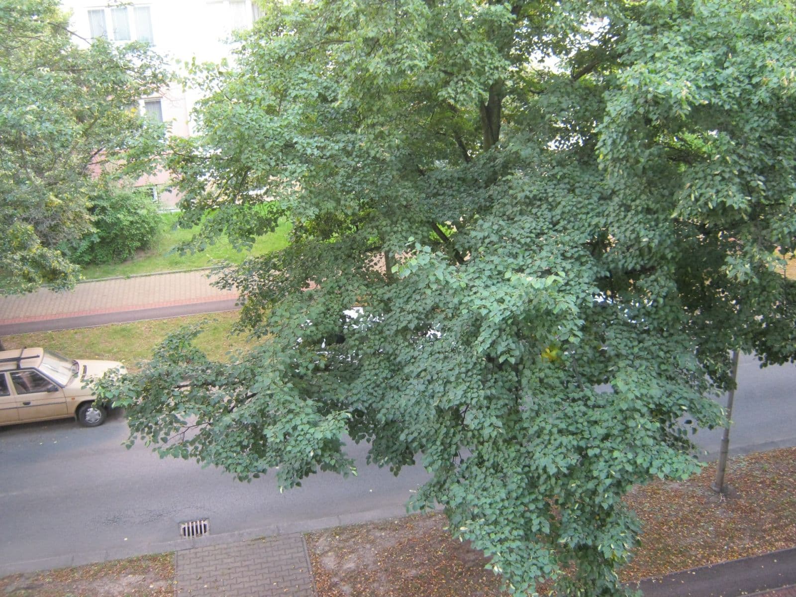 2 bedroom flat to rent, 55 m², Brojova, Plzeň, Plzeňský Region 2 bedroom flat to rent, 55 m², Brojova, Plzeň, Plzeňský Region