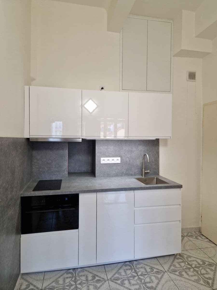1 bedroom with open-plan kitchen flat to rent, 43 m², Ondříčkova, Prague, Prague 1 bedroom with open-plan kitchen flat to rent, 43 m², Ondříčkova, Prague, Prague