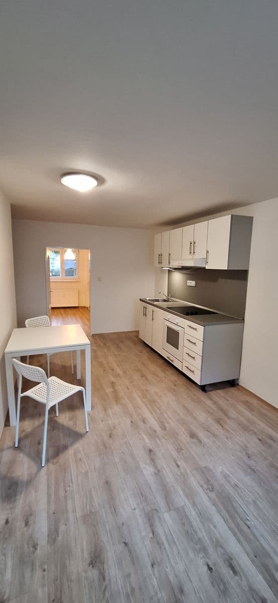 1 bedroom with open-plan kitchen flat to rent, 49 m², Podlomní, Brno, Jihomoravský Region 1 bedroom with open-plan kitchen flat to rent, 49 m², Podlomní, Brno, Jihomoravský Region