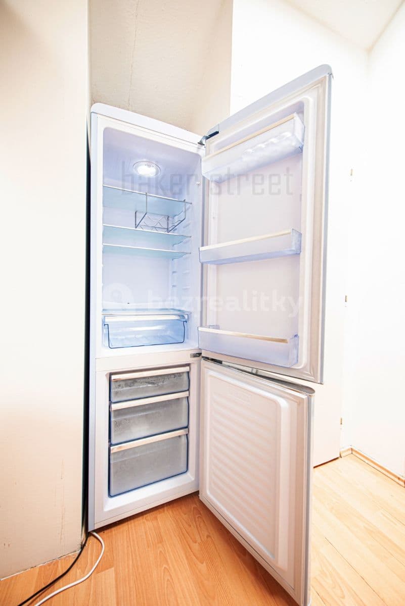 2 bedroom with open-plan kitchen flat to rent, 78 m², U Pekařky, Prague, Prague 2 bedroom with open-plan kitchen flat to rent, 78 m², U Pekařky, Prague, Prague