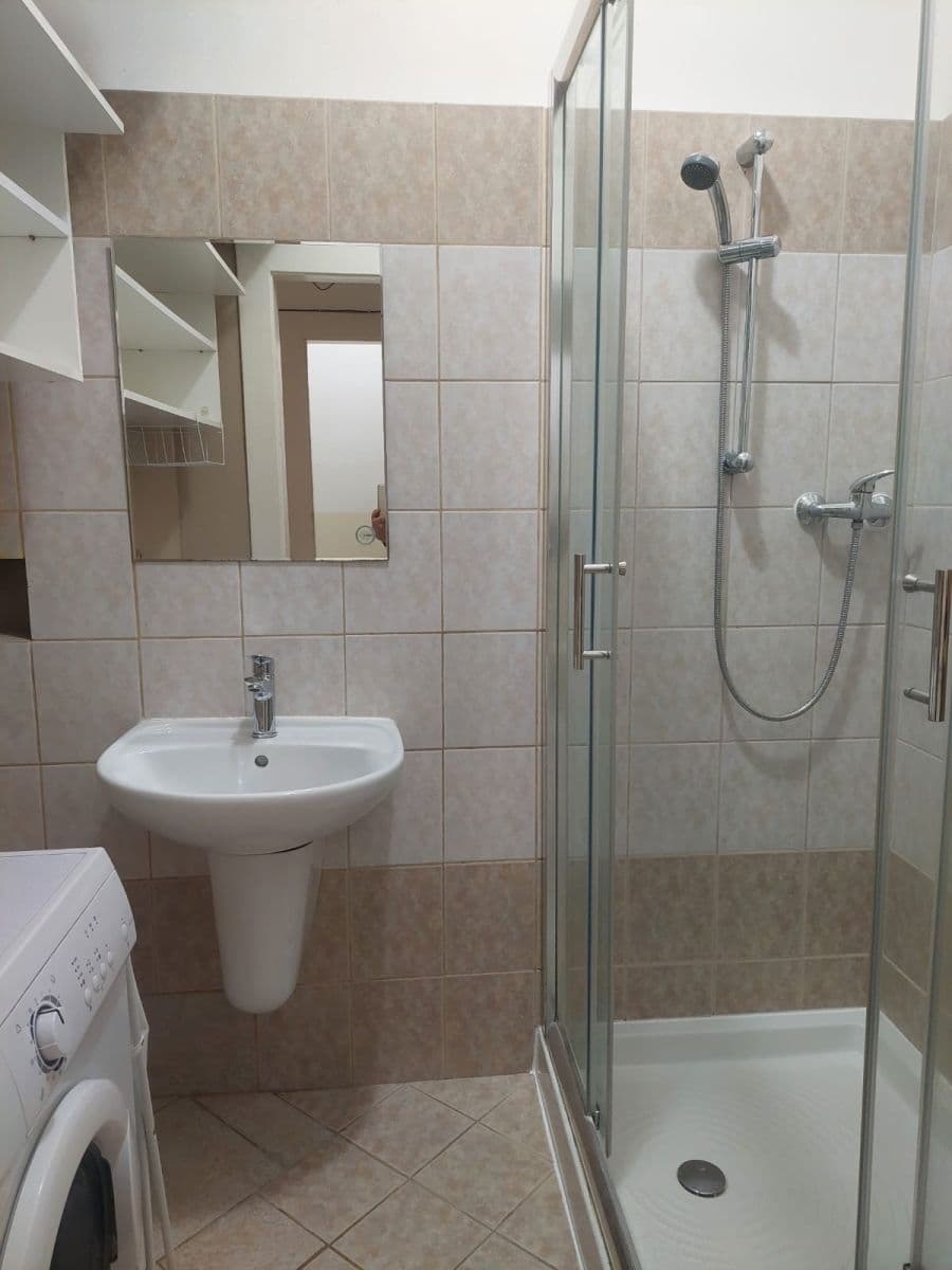 1 bedroom with open-plan kitchen flat to rent, 46 m², Baranova, Prague, Prague 1 bedroom with open-plan kitchen flat to rent, 46 m², Baranova, Prague, Prague