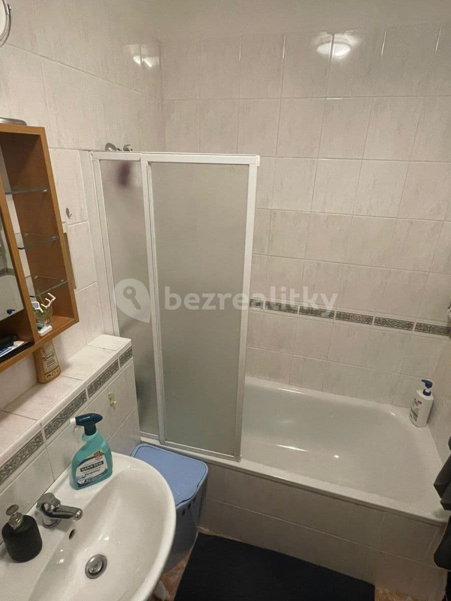 1 bedroom with open-plan kitchen flat to rent, 47 m², Voskovcova, Prague, Prague