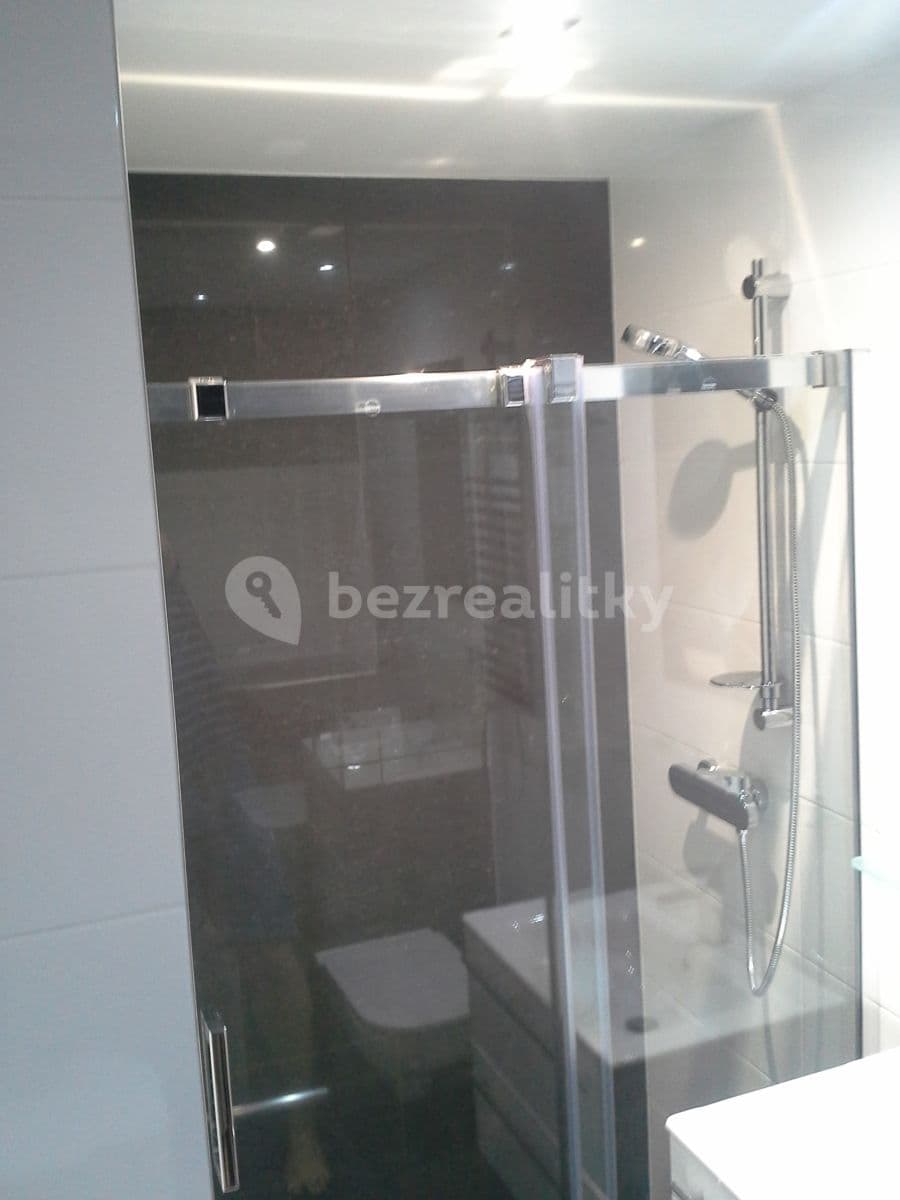 1 bedroom with open-plan kitchen flat to rent, 48 m², Bulharská, Prague, Prague 1 bedroom with open-plan kitchen flat to rent, 48 m², Bulharská, Prague, Prague