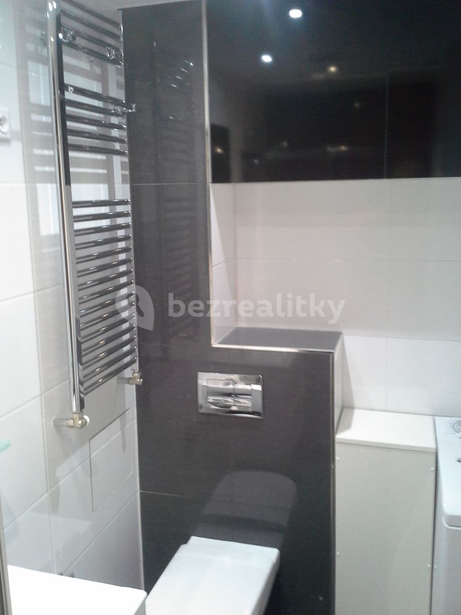 1 bedroom with open-plan kitchen flat to rent, 48 m², Bulharská, Prague, Prague 1 bedroom with open-plan kitchen flat to rent, 48 m², Bulharská, Prague, Prague