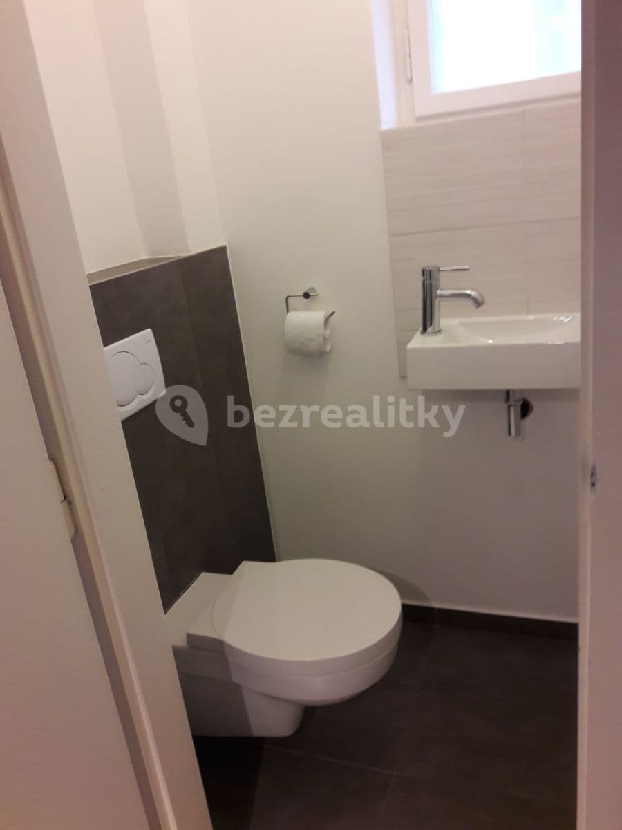 1 bedroom with open-plan kitchen flat to rent, 71 m², U průhonu, Prague, Prague 1 bedroom with open-plan kitchen flat to rent, 71 m², U průhonu, Prague, Prague