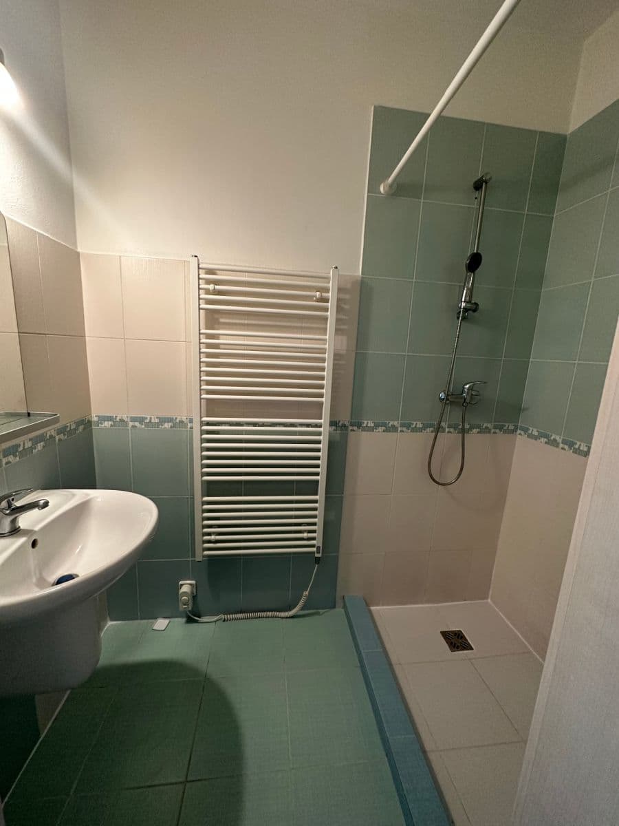 1 bedroom with open-plan kitchen flat to rent, 54 m², Štítného, Prague, Prague 1 bedroom with open-plan kitchen flat to rent, 54 m², Štítného, Prague, Prague