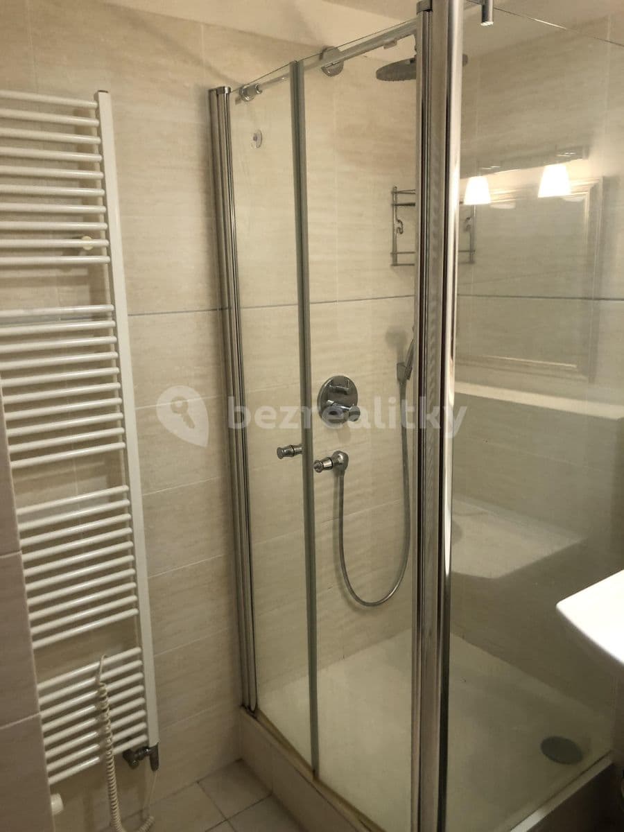 1 bedroom with open-plan kitchen flat to rent, 76 m², Linhartova, Prague, Prague 1 bedroom with open-plan kitchen flat to rent, 76 m², Linhartova, Prague, Prague