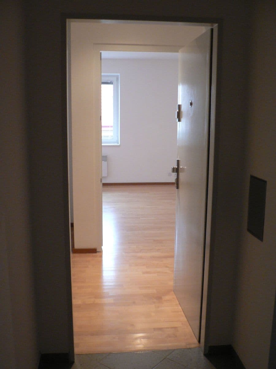 1 bedroom with open-plan kitchen flat to rent, 38 m², Neklanova, Prague, Prague 1 bedroom with open-plan kitchen flat to rent, 38 m², Neklanova, Prague, Prague