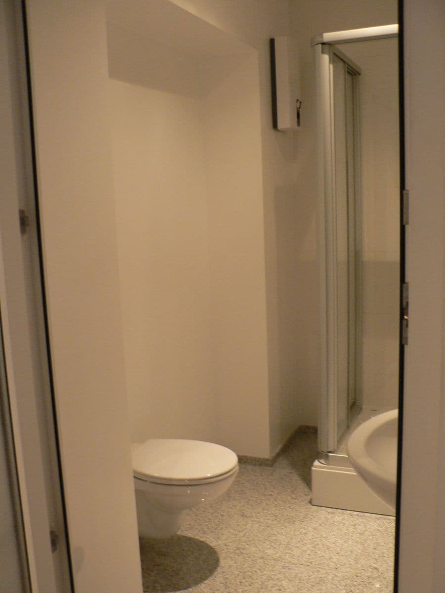 1 bedroom with open-plan kitchen flat to rent, 38 m², Neklanova, Prague, Prague 1 bedroom with open-plan kitchen flat to rent, 38 m², Neklanova, Prague, Prague