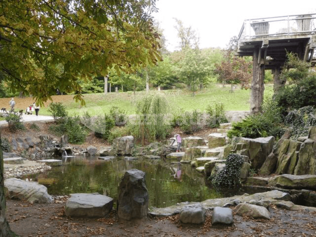 1 bedroom with open-plan kitchen flat to rent, 55 m², Paříkova, Prague, Prague 1 bedroom with open-plan kitchen flat to rent, 55 m², Paříkova, Prague, Prague