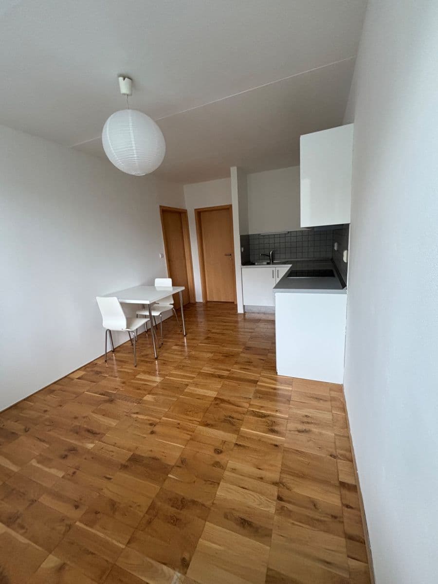 1 bedroom with open-plan kitchen flat to rent, 32 m², Nechvílova, Prague, Prague 1 bedroom with open-plan kitchen flat to rent, 32 m², Nechvílova, Prague, Prague