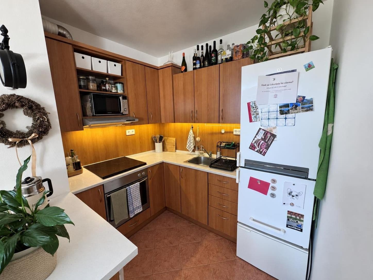 1 bedroom with open-plan kitchen flat to rent, 60 m², Dusíkova, Brno, Jihomoravský Region 1 bedroom with open-plan kitchen flat to rent, 60 m², Dusíkova, Brno, Jihomoravský Region
