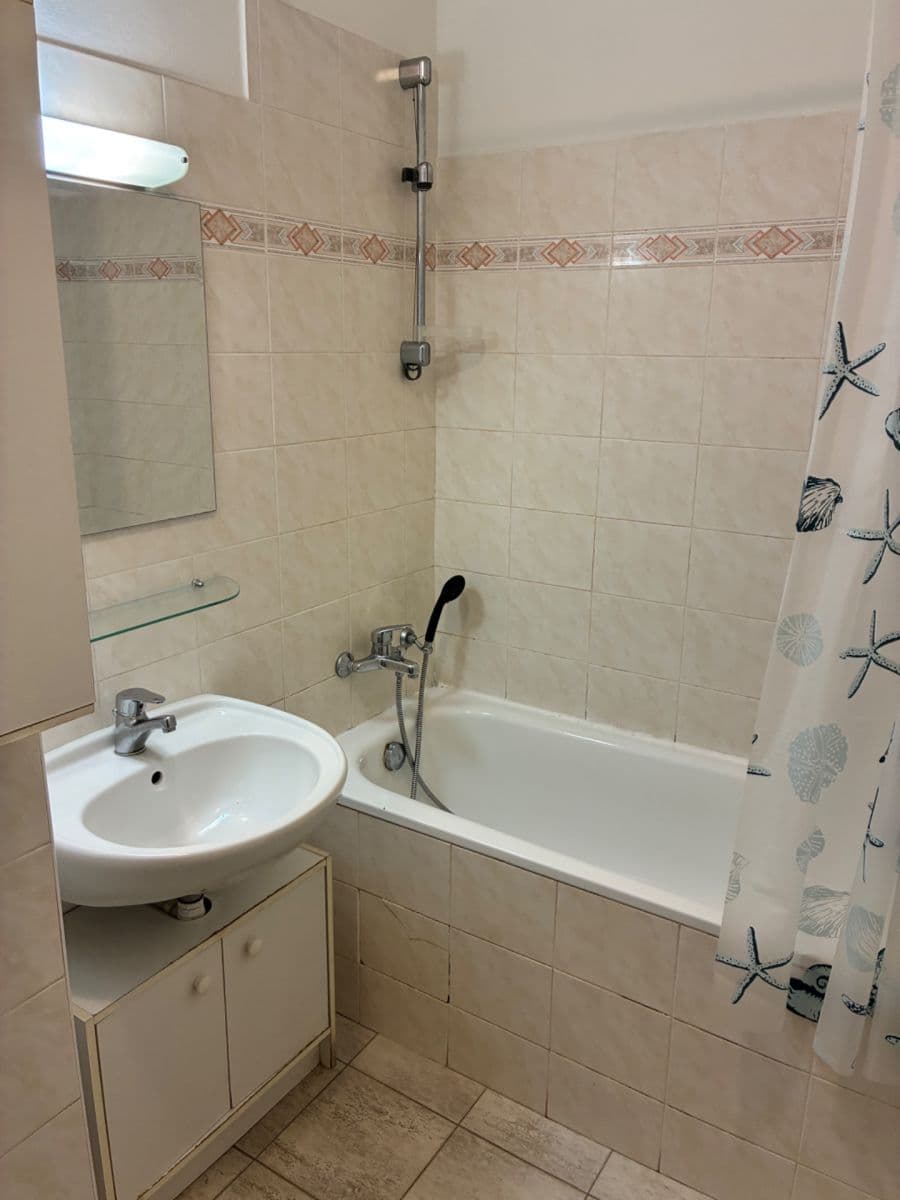 1 bedroom with open-plan kitchen flat to rent, 55 m², Musílkova, Prague, Prague 1 bedroom with open-plan kitchen flat to rent, 55 m², Musílkova, Prague, Prague