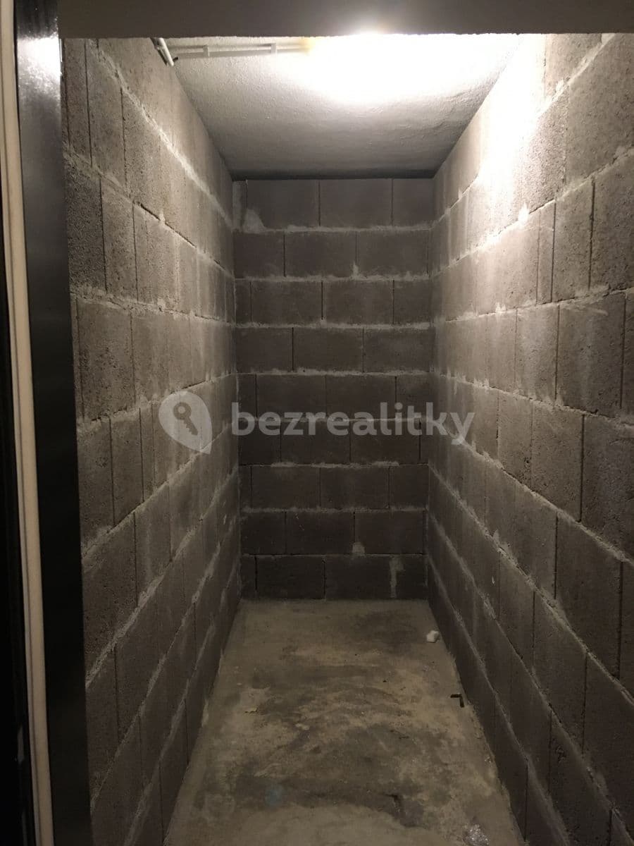 1 bedroom with open-plan kitchen flat to rent, 48 m², U městských domů, Prague, Prague 1 bedroom with open-plan kitchen flat to rent, 48 m², U městských domů, Prague, Prague