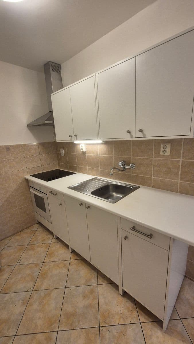 1 bedroom with open-plan kitchen flat to rent, 44 m², Taussigova, Prague, Prague 1 bedroom with open-plan kitchen flat to rent, 44 m², Taussigova, Prague, Prague