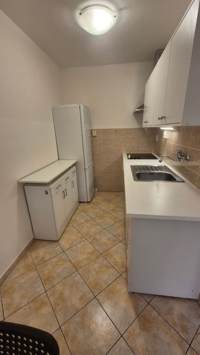 1 bedroom with open-plan kitchen flat to rent, 44 m², Taussigova, Prague, Prague 1 bedroom with open-plan kitchen flat to rent, 44 m², Taussigova, Prague, Prague