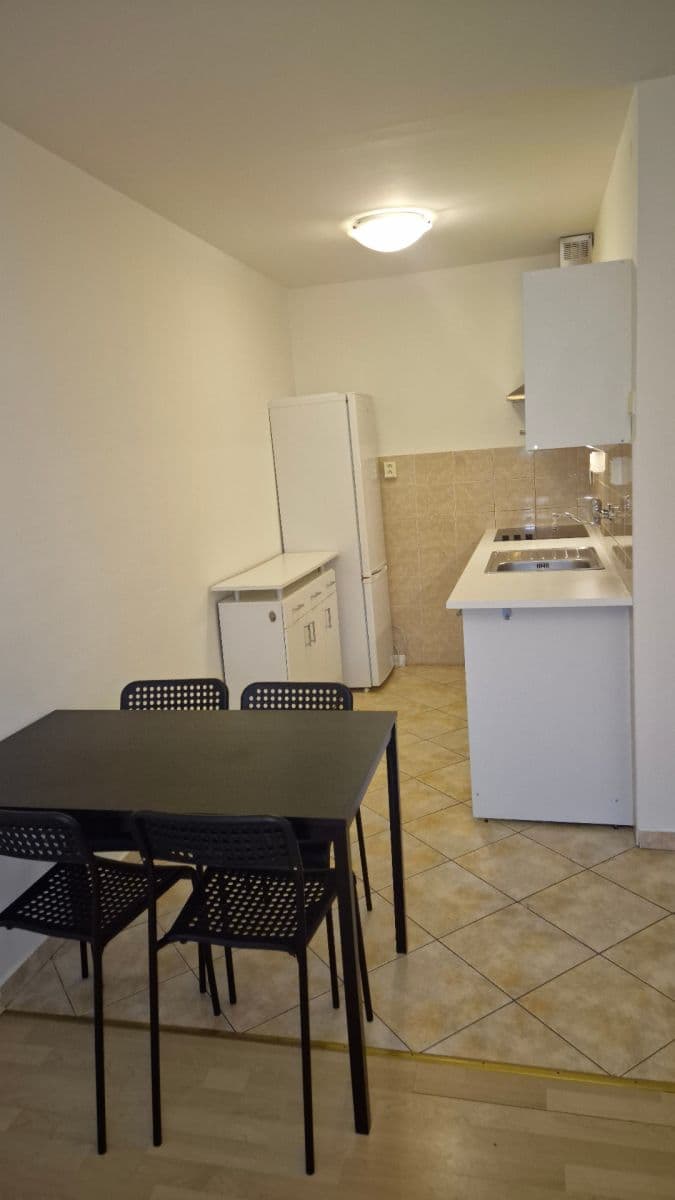 1 bedroom with open-plan kitchen flat to rent, 44 m², Taussigova, Prague, Prague 1 bedroom with open-plan kitchen flat to rent, 44 m², Taussigova, Prague, Prague