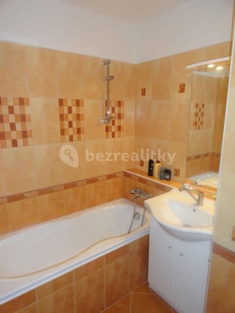 1 bedroom with open-plan kitchen flat to rent, 47 m², Poljanovova, Prague, Prague 1 bedroom with open-plan kitchen flat to rent, 47 m², Poljanovova, Prague, Prague