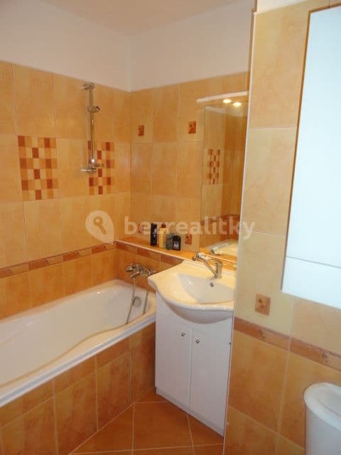 1 bedroom with open-plan kitchen flat to rent, 47 m², Poljanovova, Prague, Prague 1 bedroom with open-plan kitchen flat to rent, 47 m², Poljanovova, Prague, Prague