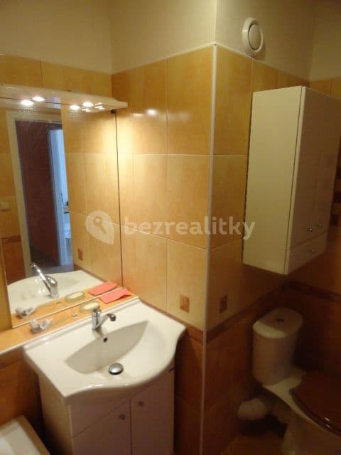 1 bedroom with open-plan kitchen flat to rent, 47 m², Poljanovova, Prague, Prague 1 bedroom with open-plan kitchen flat to rent, 47 m², Poljanovova, Prague, Prague