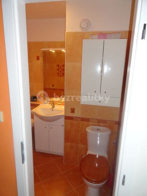 1 bedroom with open-plan kitchen flat to rent, 47 m², Poljanovova, Prague, Prague 1 bedroom with open-plan kitchen flat to rent, 47 m², Poljanovova, Prague, Prague