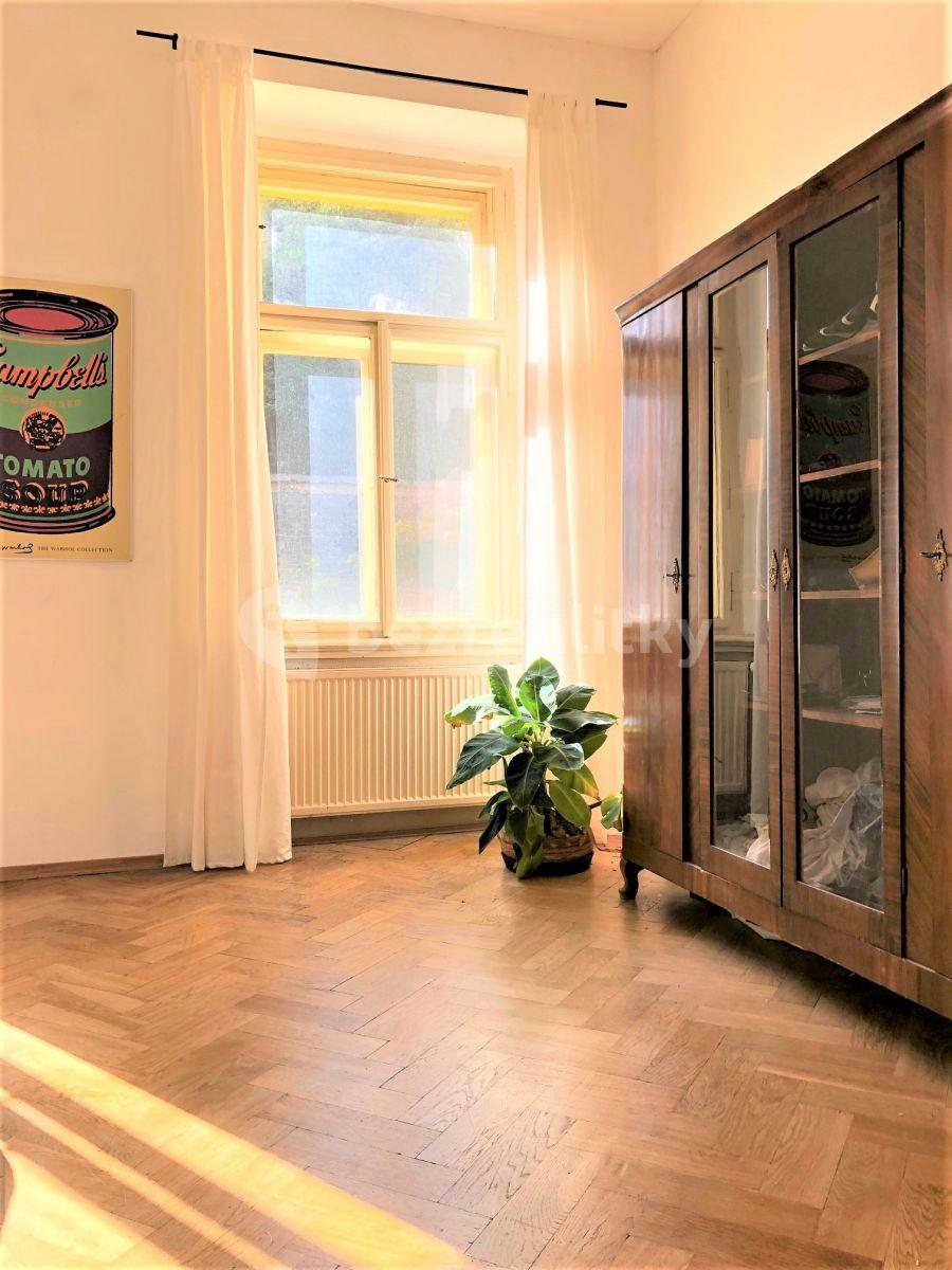 1 bedroom with open-plan kitchen flat to rent, 64 m², Pernerova, Prague, Prague
