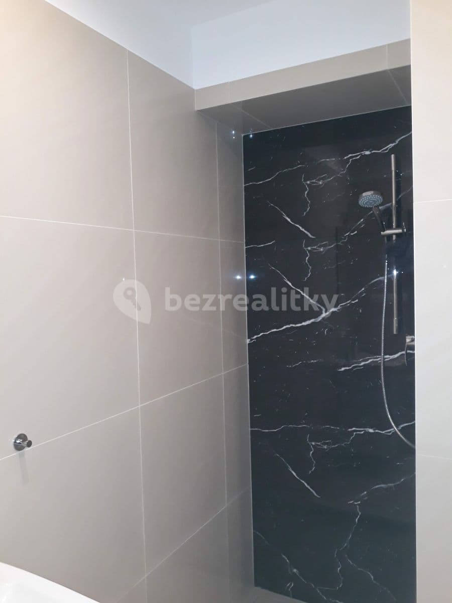 1 bedroom with open-plan kitchen flat to rent, 54 m², Nuselská, Prague, Prague 1 bedroom with open-plan kitchen flat to rent, 54 m², Nuselská, Prague, Prague