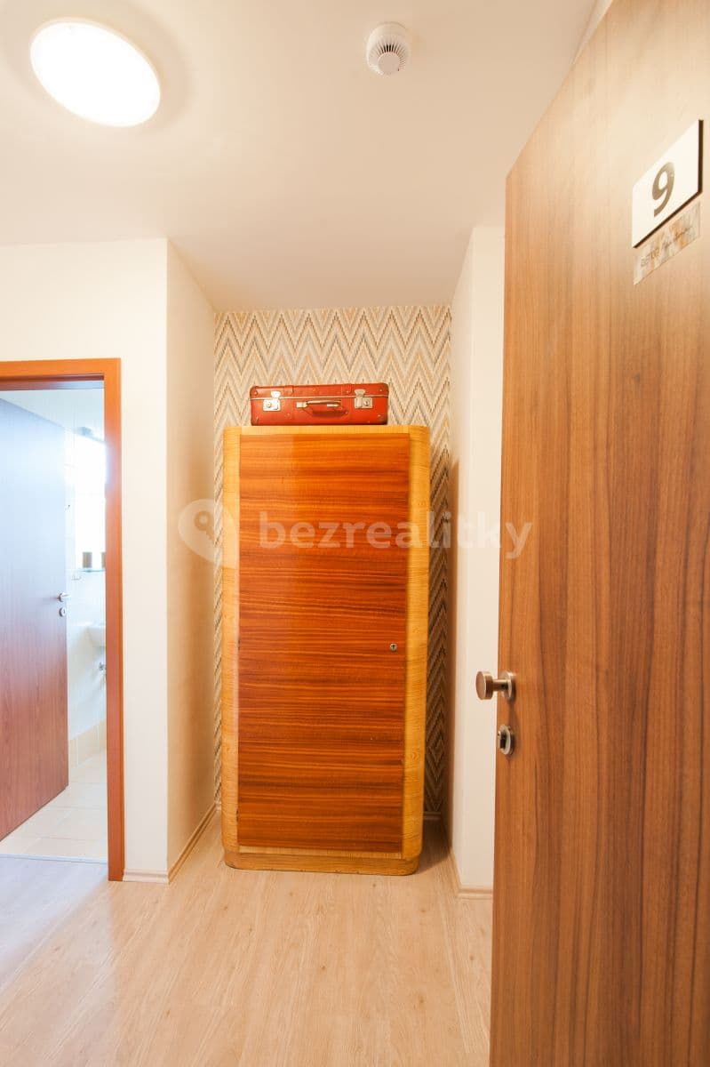 Studio flat to rent, 31 m², Kounicova, Brno, Jihomoravský Region Studio flat to rent, 31 m², Kounicova, Brno, Jihomoravský Region