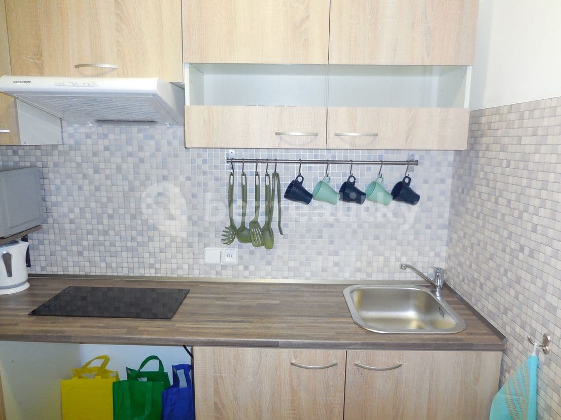 flat to rent, 16 m², Českobrodská, Prague, Prague flat to rent, 16 m², Českobrodská, Prague, Prague