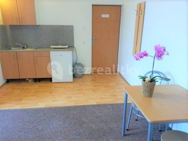 Studio flat to rent, 28 m², Třešňová, Prague, Prague Studio flat to rent, 28 m², Třešňová, Prague, Prague