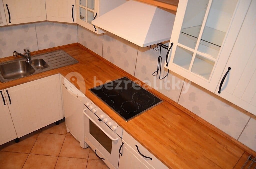 1 bedroom with open-plan kitchen flat to rent, 76 m², Podvinný mlýn, Prague, Prague 1 bedroom with open-plan kitchen flat to rent, 76 m², Podvinný mlýn, Prague, Prague