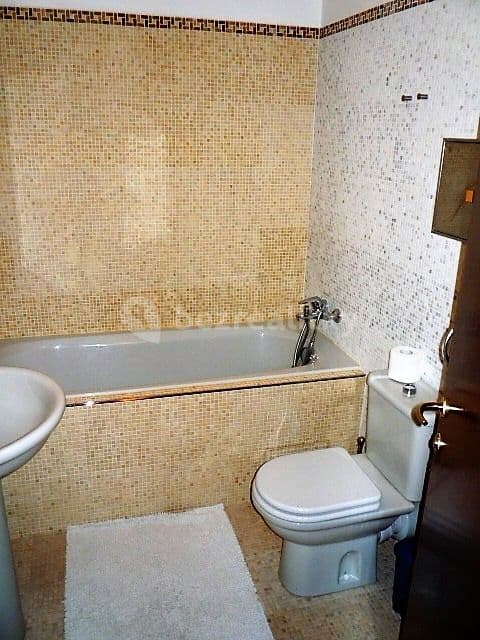 1 bedroom with open-plan kitchen flat to rent, 76 m², Podvinný mlýn, Prague, Prague 1 bedroom with open-plan kitchen flat to rent, 76 m², Podvinný mlýn, Prague, Prague