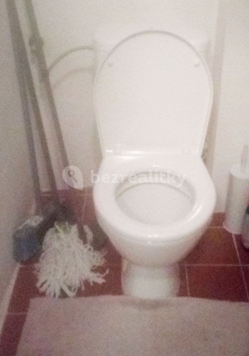 1 bedroom with open-plan kitchen flat to rent, 54 m², Lublaňská, Prague, Prague 1 bedroom with open-plan kitchen flat to rent, 54 m², Lublaňská, Prague, Prague