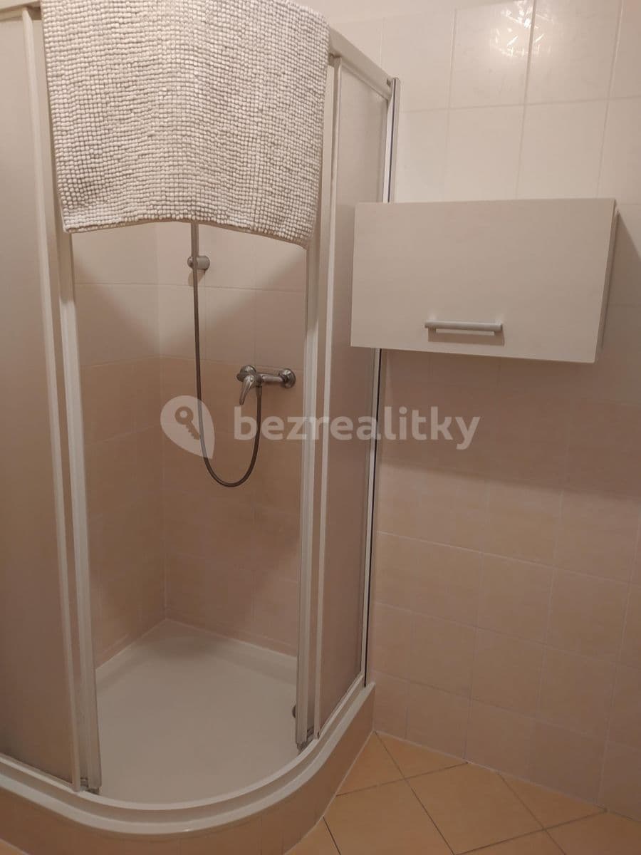 Studio flat to rent, 41 m², Slévačská, Prague, Prague Studio flat to rent, 41 m², Slévačská, Prague, Prague