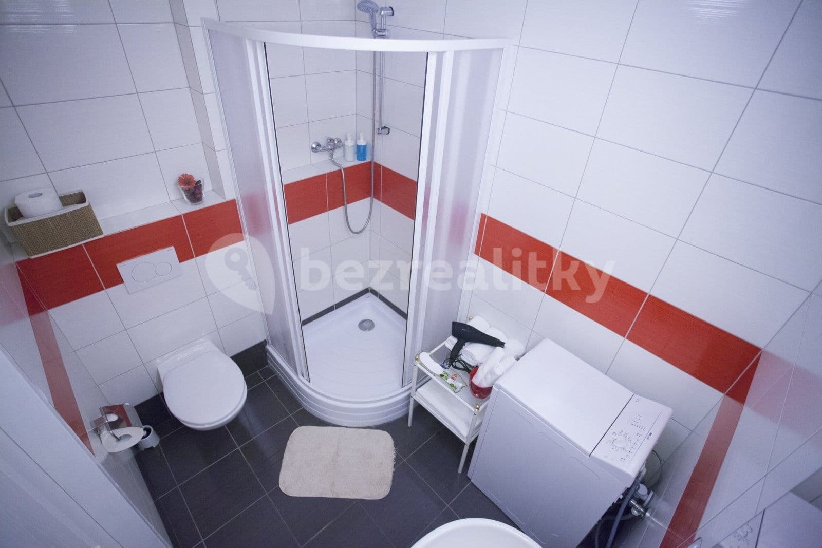1 bedroom with open-plan kitchen flat to rent, 50 m², Lidická, Prague, Prague 1 bedroom with open-plan kitchen flat to rent, 50 m², Lidická, Prague, Prague