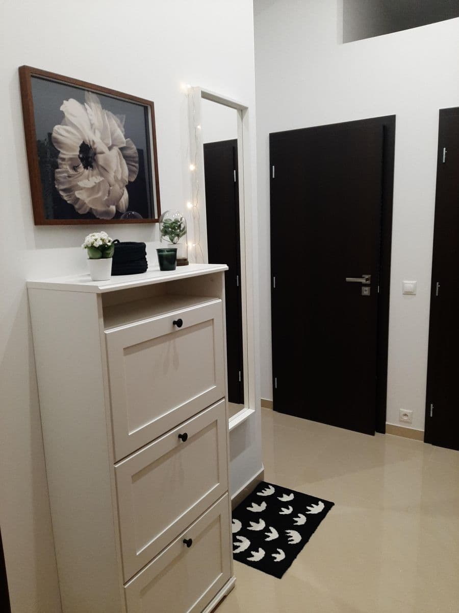 1 bedroom with open-plan kitchen flat to rent, 54 m², Nuselská, Prague, Prague 1 bedroom with open-plan kitchen flat to rent, 54 m², Nuselská, Prague, Prague