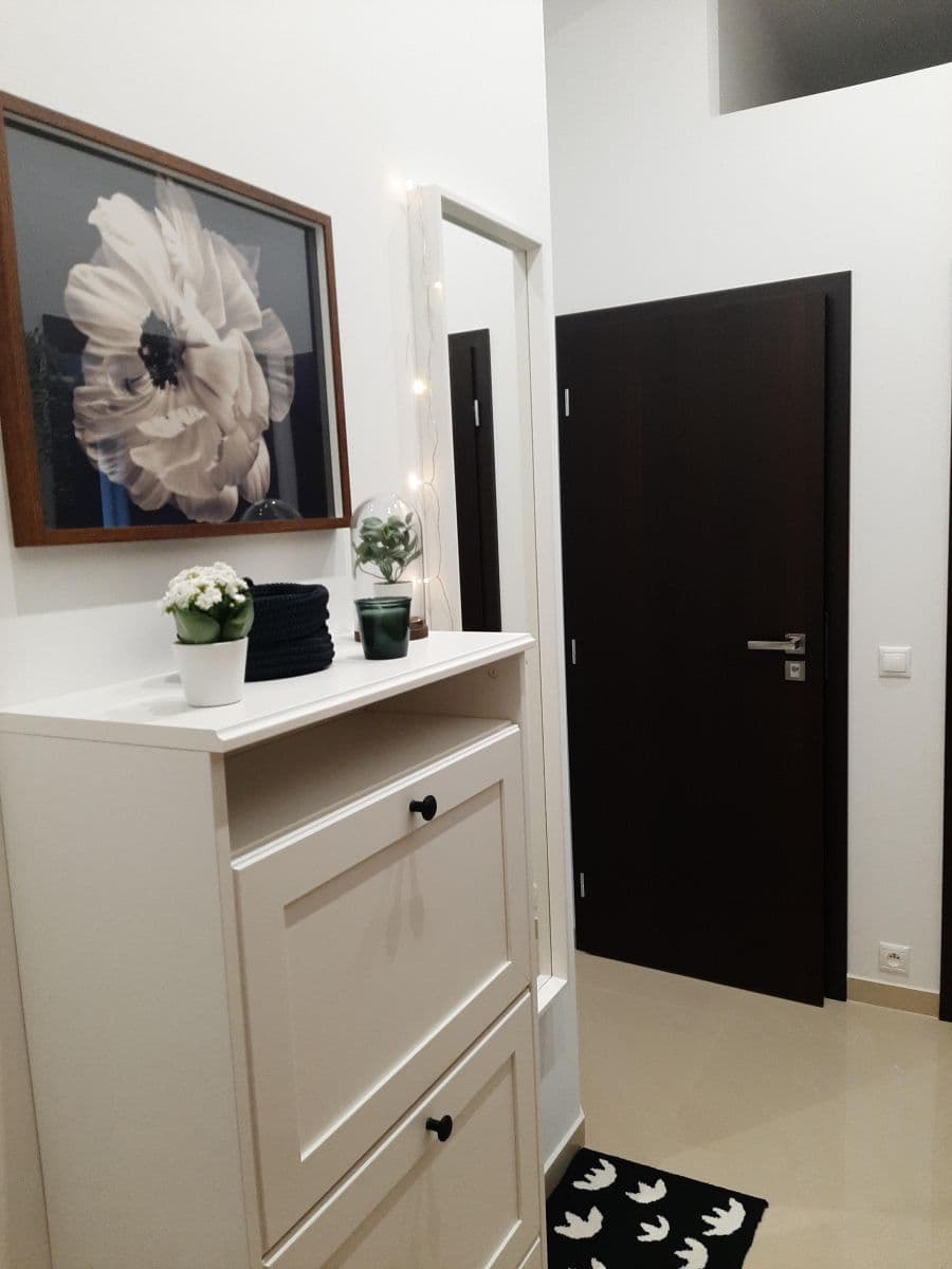 1 bedroom with open-plan kitchen flat to rent, 54 m², Nuselská, Prague, Prague 1 bedroom with open-plan kitchen flat to rent, 54 m², Nuselská, Prague, Prague