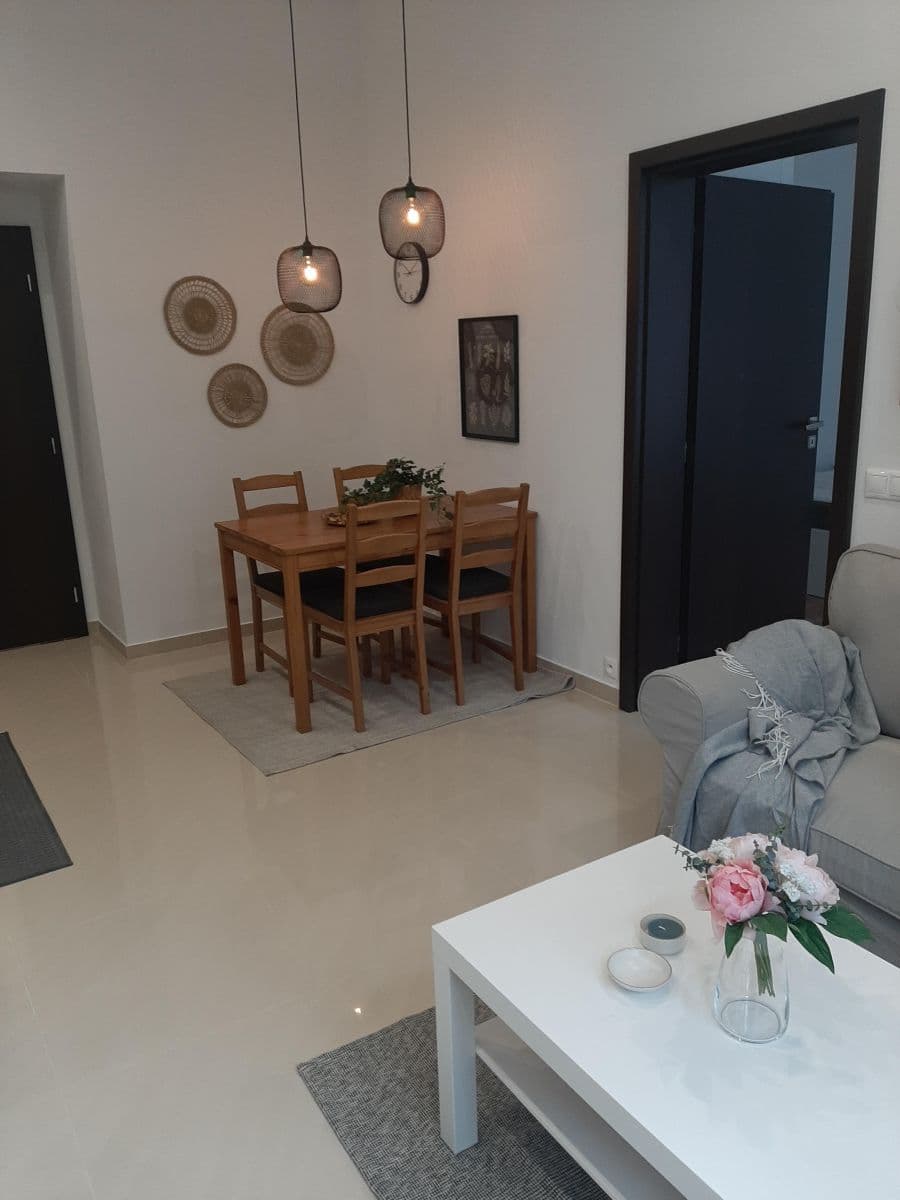1 bedroom with open-plan kitchen flat to rent, 54 m², Nuselská, Prague, Prague 1 bedroom with open-plan kitchen flat to rent, 54 m², Nuselská, Prague, Prague