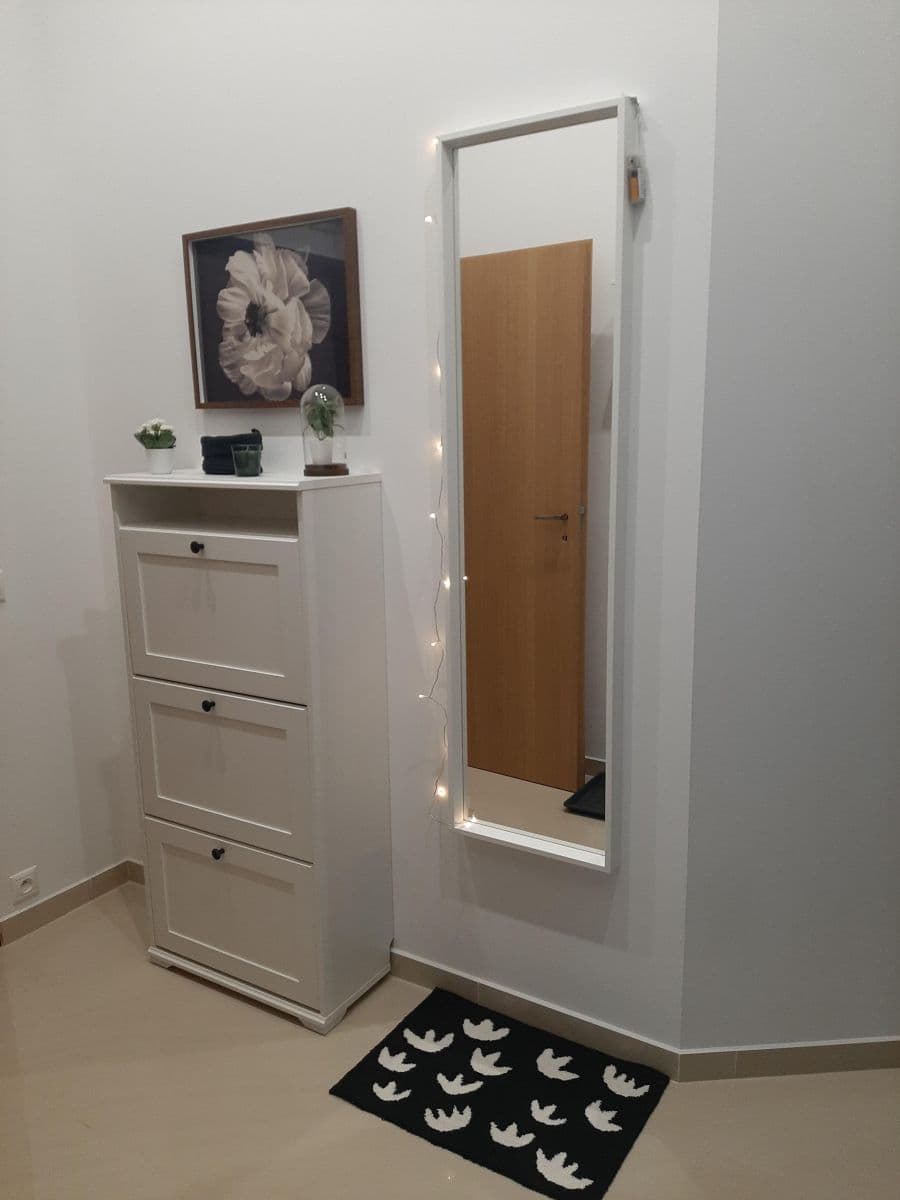 1 bedroom with open-plan kitchen flat to rent, 54 m², Nuselská, Prague, Prague 1 bedroom with open-plan kitchen flat to rent, 54 m², Nuselská, Prague, Prague