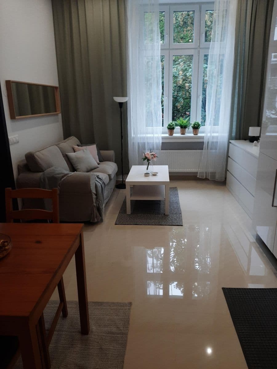 1 bedroom with open-plan kitchen flat to rent, 54 m², Nuselská, Prague, Prague 1 bedroom with open-plan kitchen flat to rent, 54 m², Nuselská, Prague, Prague