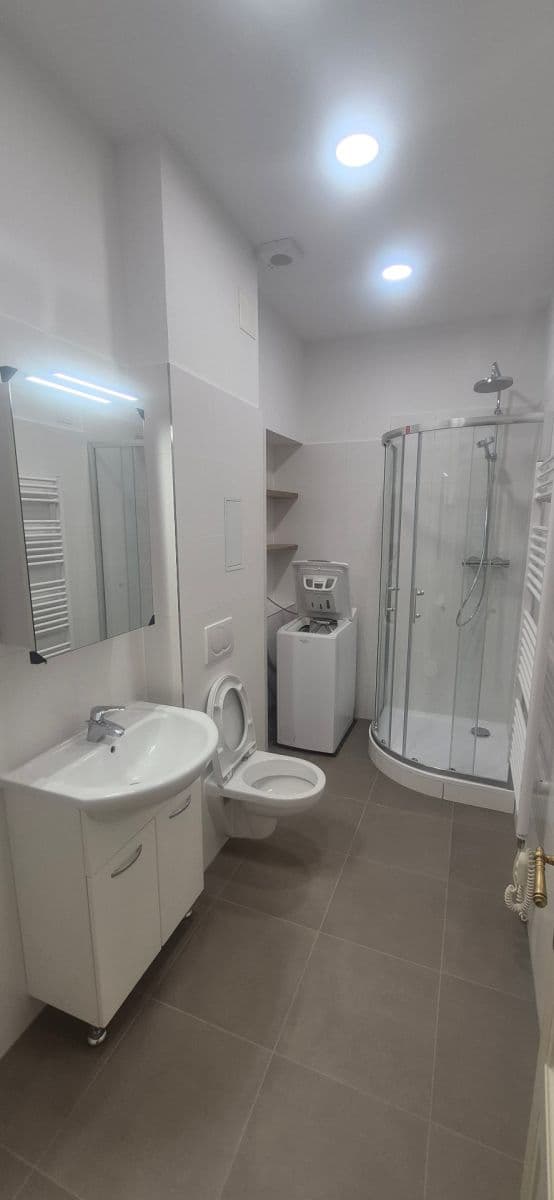 1 bedroom with open-plan kitchen flat to rent, 45 m², Rumunská, Prague, Prague 1 bedroom with open-plan kitchen flat to rent, 45 m², Rumunská, Prague, Prague