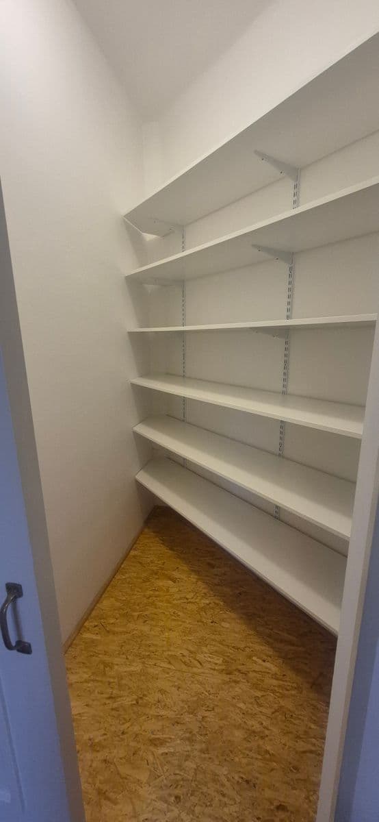 1 bedroom with open-plan kitchen flat to rent, 45 m², Rumunská, Prague, Prague 1 bedroom with open-plan kitchen flat to rent, 45 m², Rumunská, Prague, Prague