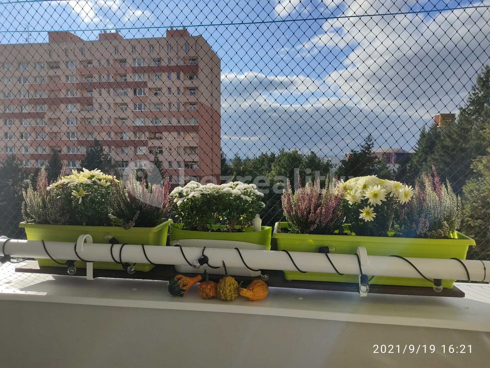 1 bedroom flat to rent, 32 m², Halasovo náměstí, Brno, Jihomoravský Region 1 bedroom flat to rent, 32 m², Halasovo náměstí, Brno, Jihomoravský Region